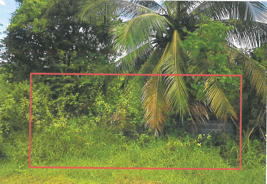 ขายทอดตลาด ที่ดินว่างเปล่า ต.ยางสีสุราช อ.ยางสีสุราช จ.มหาสารคาม