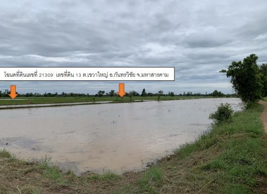 ขายทอดตลาด ที่ดินว่างเปล่า ต.เขวาใหญ่ อ.กันทรวิชัย จ.มหาสารคาม