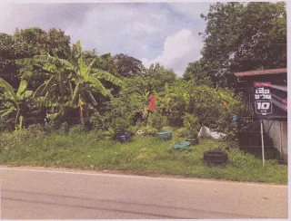 รูปทรัพย์ 1