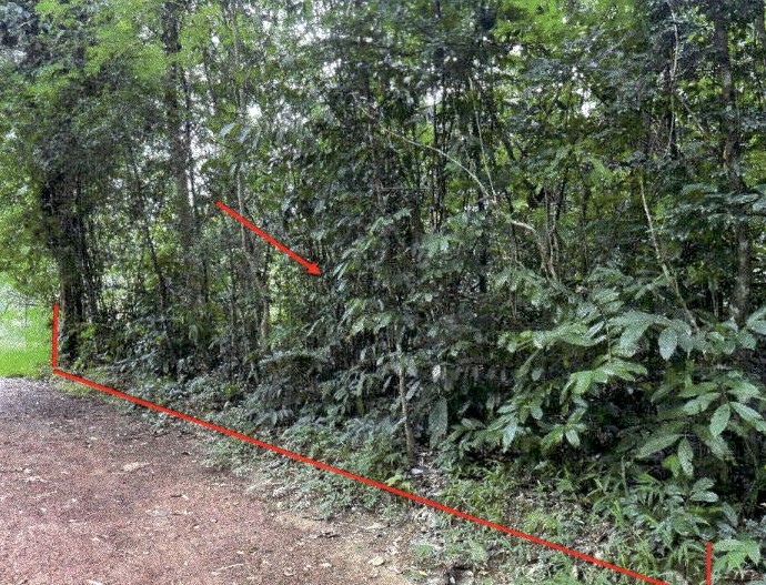 ขายทอดตลาด ที่ดินว่างเปล่า จ.สระแก้ว