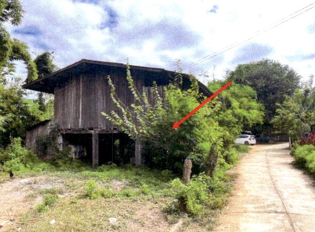 ขายทอดตลาด ที่ดินพร้อมสิ่งปลูกสร้าง ต.ต้าผามอก อ.ลอง จ.แพร่
