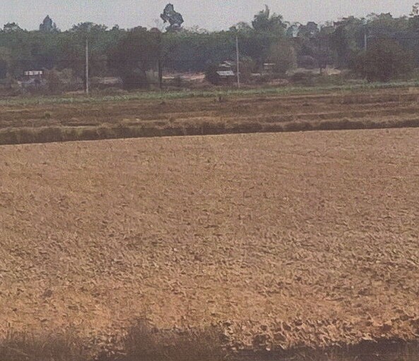 ขายทอดตลาด ที่ดินว่างเปล่า ต.บ้านโคก อ.เมืองมุกดาหาร จ.มุกดาหาร