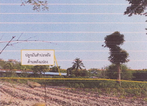 ขายทอดตลาด ที่ดินว่างเปล่า ต.ดอนตาล อ.ดอนตาล จ.มุกดาหาร