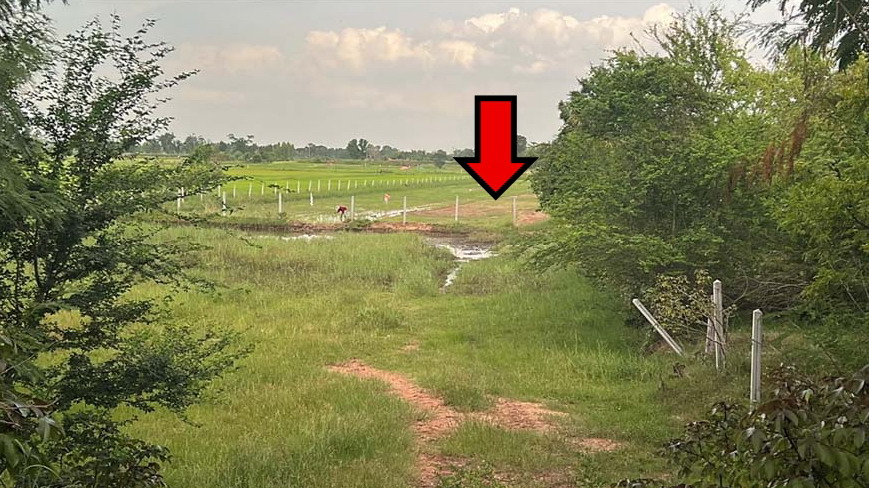 ขายทอดตลาด ที่ดินว่างเปล่า จ.มหาสารคาม