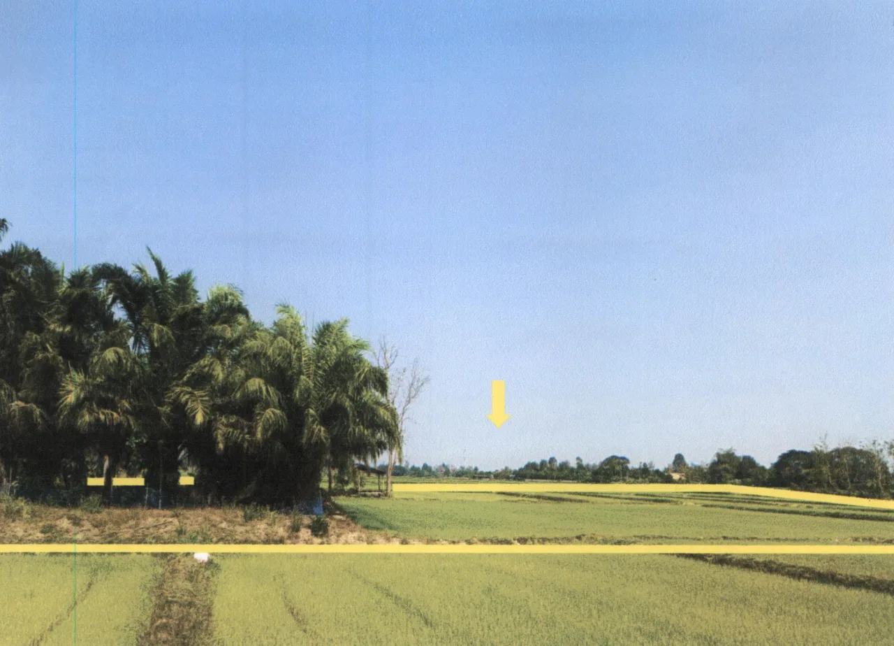 ขายทอดตลาด ที่ดินว่างเปล่า ต.เด่นชัย อ.เด่นชัย จ.แพร่
