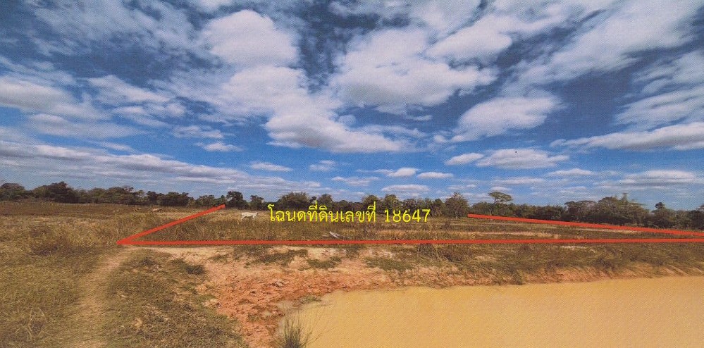 ขายทอดตลาด ที่ดินว่างเปล่า ต.นาสะเม็ง อ.ดอนตาล จ.มุกดาหาร