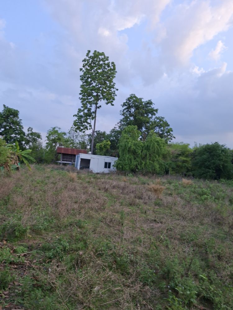 ขายทอดตลาด ที่ดินพร้อมสิ่งปลูกสร้าง ต.ชื่นชม อ.ชื่นชม จ.มหาสารคาม
