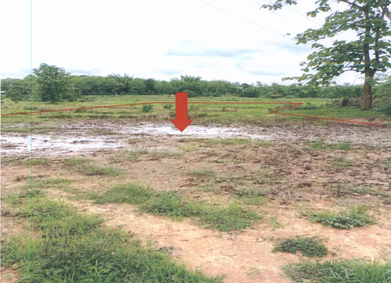 ขายทอดตลาด ที่ดินว่างเปล่า ต.เวียงต้า อ.ลอง จ.แพร่