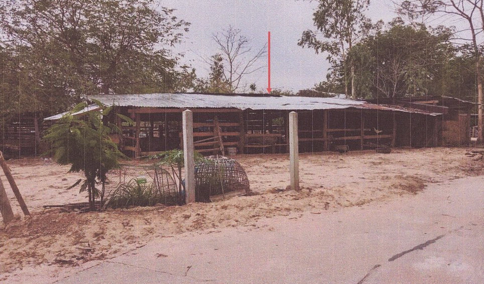 ขายทอดตลาด ที่ดินพร้อมสิ่งปลูกสร้าง ต.บ้านซ่ง อ.คำชะอี จ.มุกดาหาร