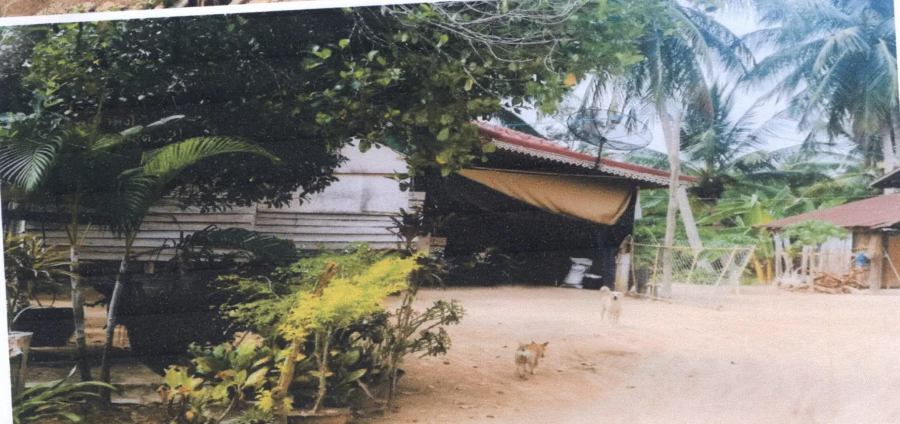 ขายทอดตลาด ที่ดินพร้อมสิ่งปลูกสร้าง ต.ชะโนดน้อย อ.ดงหลวง จ.มุกดาหาร