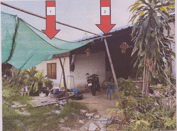 ขายทอดตลาด ที่ดินพร้อมสิ่งปลูกสร้าง ต.นาสีนวน อ.เมืองมุกดาหาร จ.มุกดาหาร
