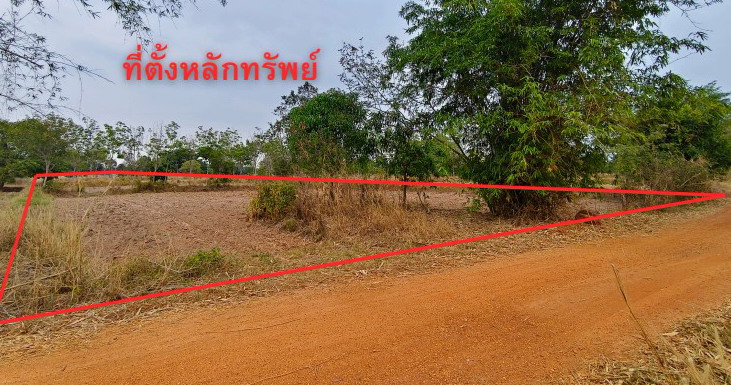 ขายทอดตลาด ที่ดินว่างเปล่า ต.โนนสูง อ.ยางตลาด จ.กาฬสินธุ์