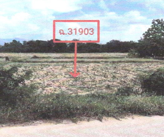 ขายทอดตลาด ที่ดินว่างเปล่า จ.ลพบุรี