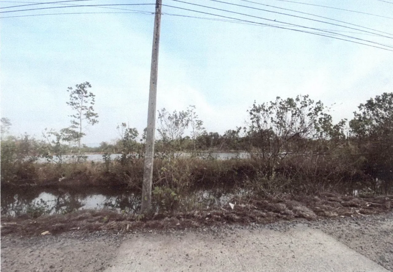 ขายทอดตลาด ที่ดินว่างเปล่า ต.สีพยา อ.ท่าใหม่ จ.จันทบุรี