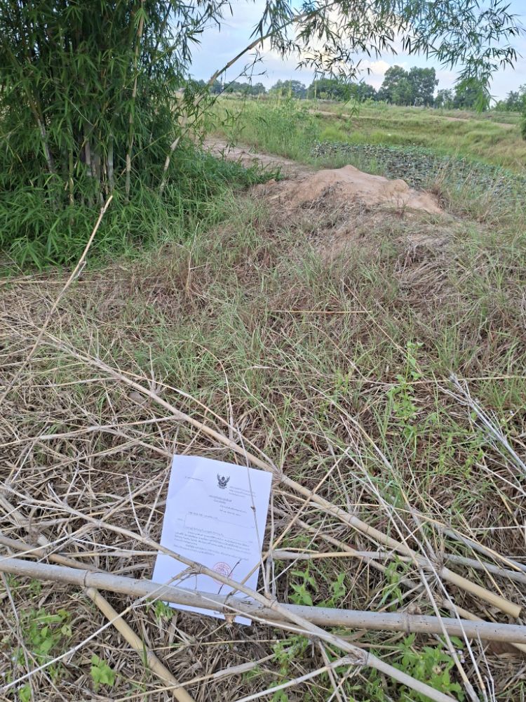 ขายทอดตลาด ที่ดินว่างเปล่า ต.หนองโก อ.บรบือ จ.มหาสารคาม