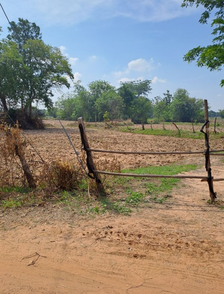 ขายทอดตลาด ที่ดินว่างเปล่า ต.หนองแสง อ.วาปีปทุม จ.มหาสารคาม