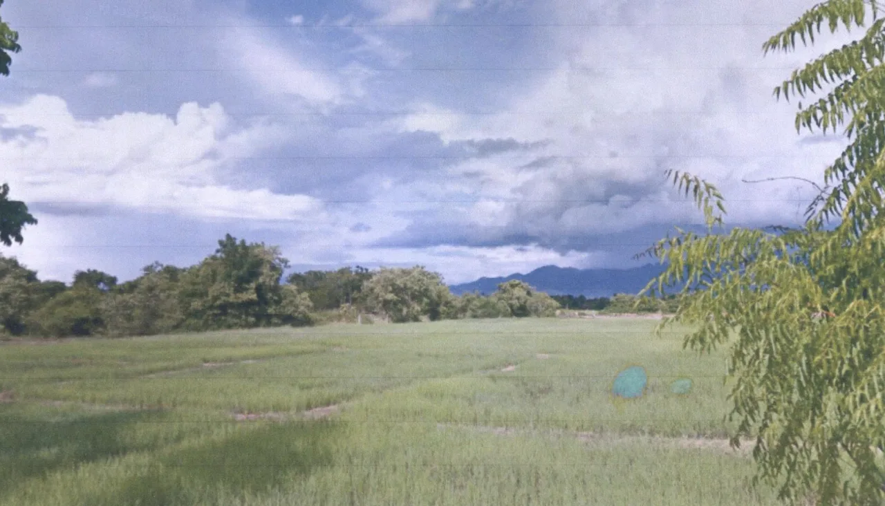 ขายทอดตลาด ที่ดินว่างเปล่า ต.เหมืองหม้อ อ.เมืองแพร่ จ.แพร่