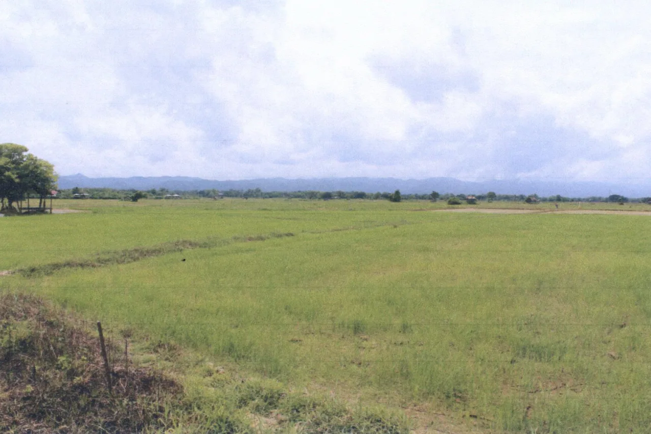 ขายทอดตลาด ที่ดินว่างเปล่า ต.ทุ่งกวาว อ.เมืองแพร่ จ.แพร่