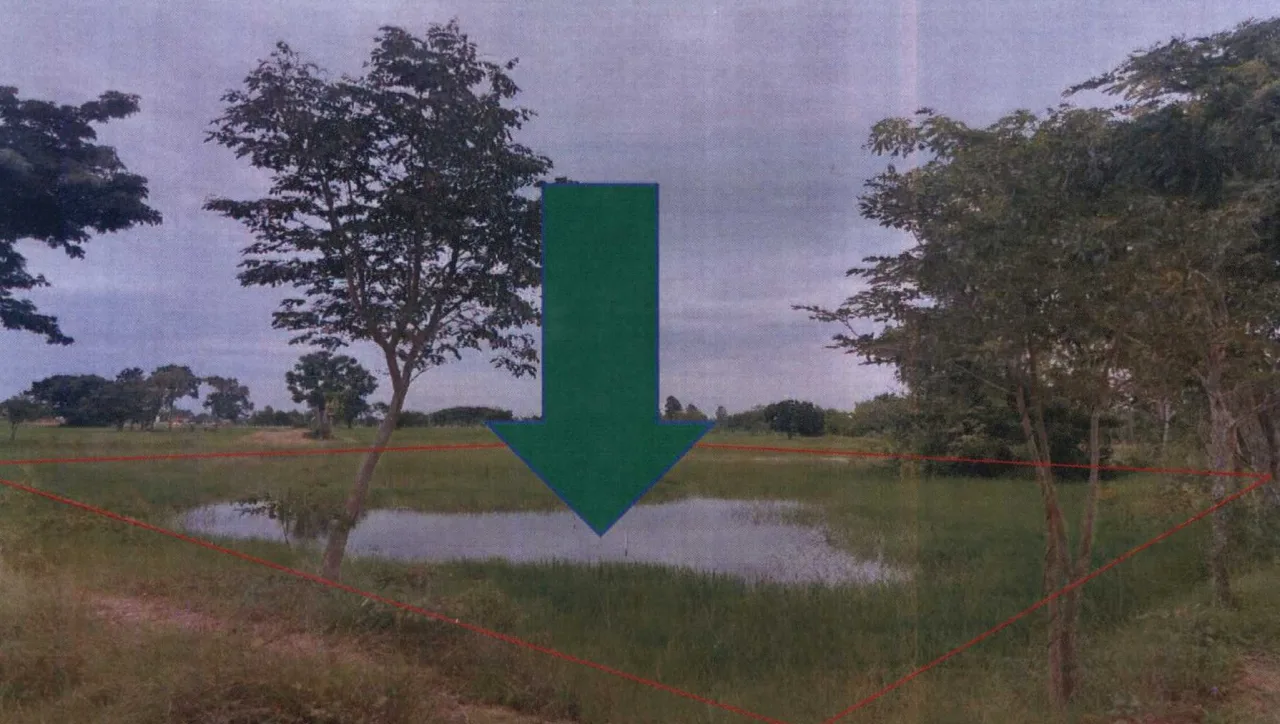 ขายทอดตลาด ที่ดินว่างเปล่า ต.แก่งเลิงจาน อ.เมืองมหาสารคาม จ.มหาสารคาม