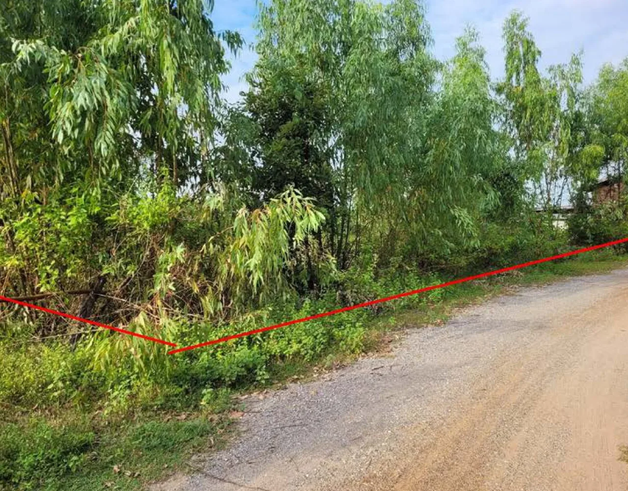 ขายทอดตลาด ที่ดินว่างเปล่า ต.เสือโก้ก อ.วาปีปทุม จ.มหาสารคาม