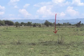 รูปทรัพย์ 2