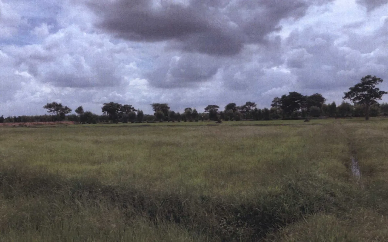 ขายทอดตลาด ที่ดินว่างเปล่า ต.หนองบัวสันตุ อ.ยางสีสุราช จ.มหาสารคาม