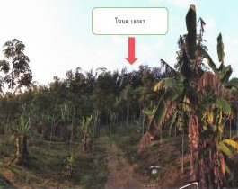 ขายทอดตลาด ที่ดินว่างเปล่า ต.ปะตง อ.สอยดาว จ.จันทบุรี