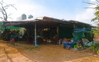 รูปทรัพย์ 2