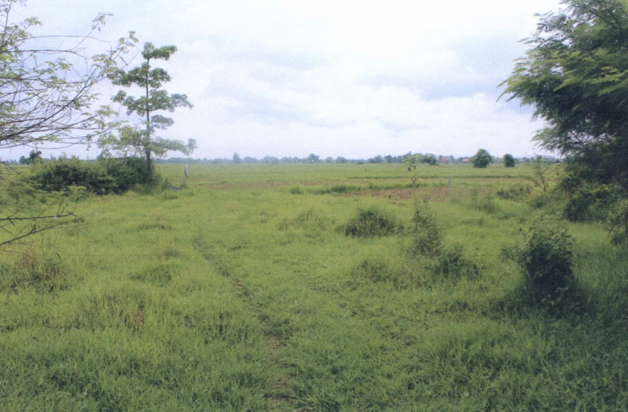 ขายทอดตลาด ที่ดินว่างเปล่า ต.ทุ่งกวาว อ.เมืองแพร่ จ.แพร่