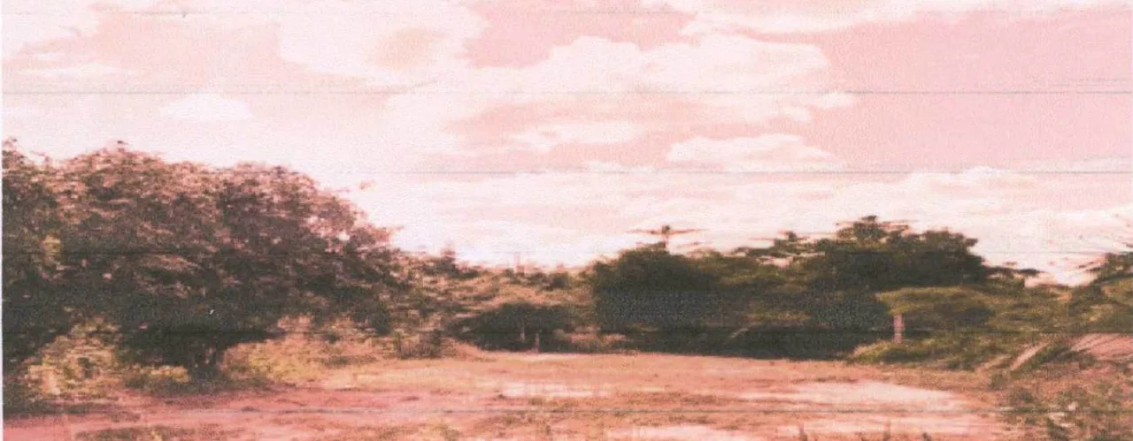 ขายทอดตลาด ที่ดินว่างเปล่า ต.บ้านกู่ อ.ยางสีสุราช จ.มหาสารคาม