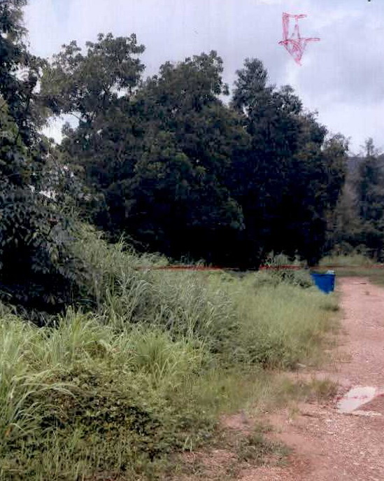 ขายทอดตลาด ที่ดินว่างเปล่า ต.คลองขุด อ.ท่าใหม่ จ.จันทบุรี