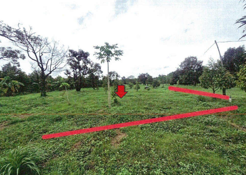 ขายทอดตลาด ที่ดินว่างเปล่า ต.บ่อ อ.ขลุง จ.จันทบุรี
