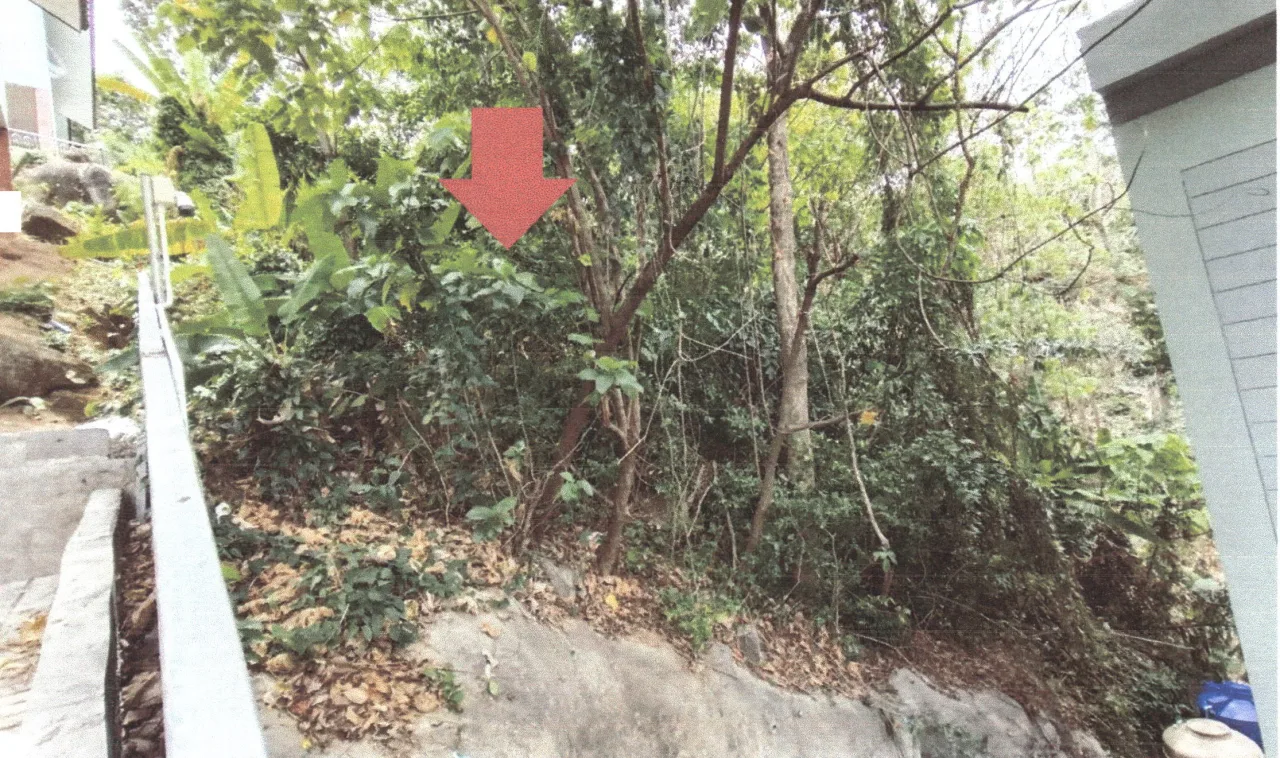 ขายทอดตลาด ที่ดินว่างเปล่า ต.กะรน อ.เมืองภูเก็ต จ.ภูเก็ต