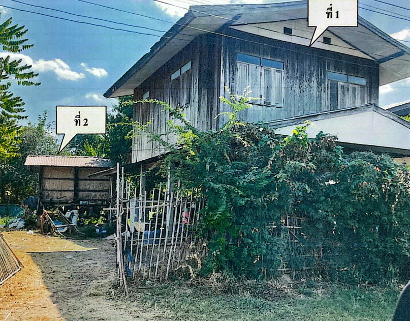 ขายทอดตลาด ที่ดินพร้อมสิ่งปลูกสร้าง ต.หนองผือ อ.จตุรพักตรพิมาน จ.ร้อยเอ็ด
