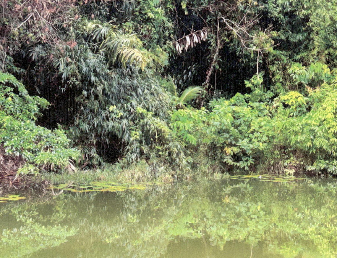 ขายทอดตลาด ที่ดินว่างเปล่า ต.พลวง อ.เขาคิชฌกูฏ จ.จันทบุรี