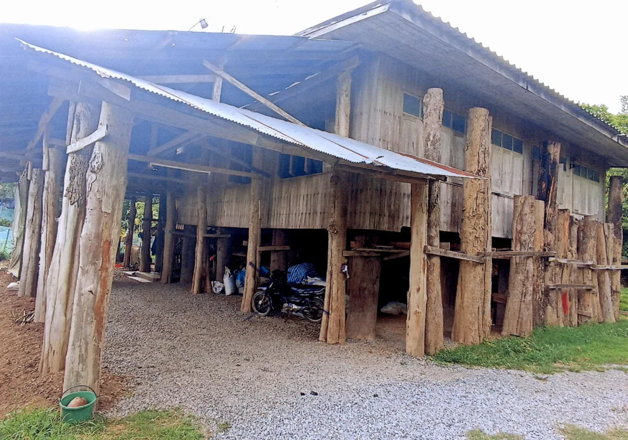 ขายทอดตลาด ที่ดินพร้อมสิ่งปลูกสร้าง ต.เวียงต้า อ.ลอง จ.แพร่