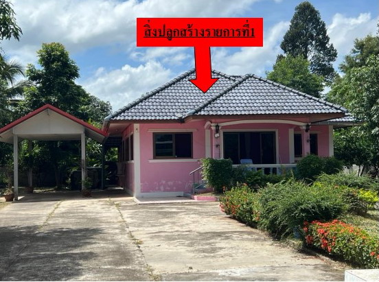 ขายทอดตลาด ที่ดินพร้อมสิ่งปลูกสร้าง ต.หนองผือ อ.จตุรพักตรพิมาน จ.ร้อยเอ็ด