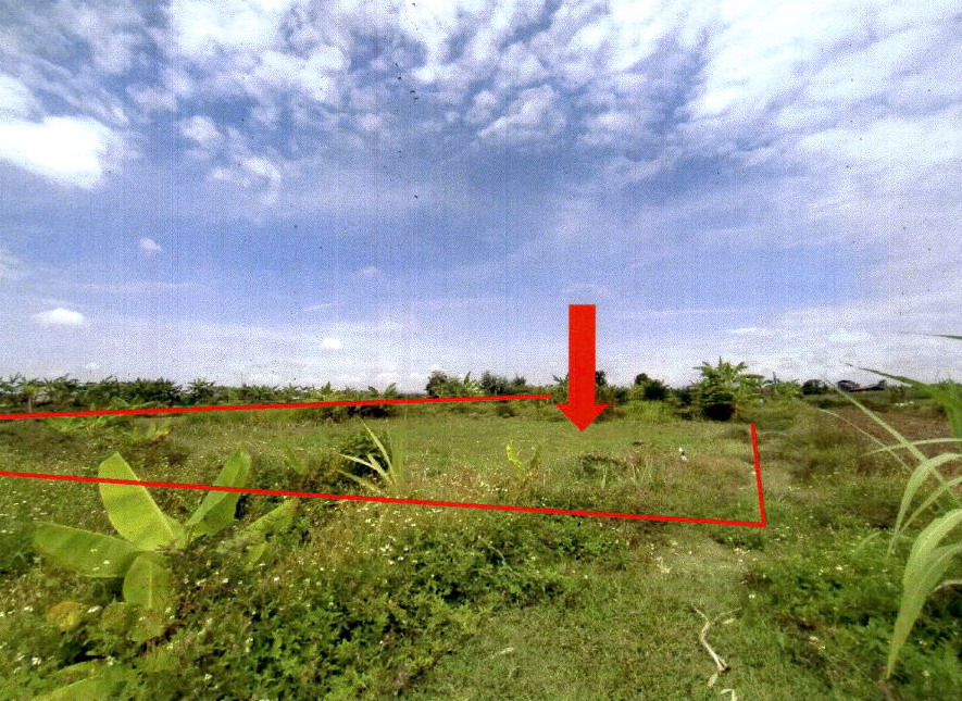 ขายทอดตลาด ที่ดินว่างเปล่า ต.ร้องกวาง อ.ร้องกวาง จ.แพร่