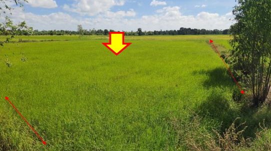ขายทอดตลาด ที่ดินว่างเปล่า ต.เกษตรวิสัย อ.เกษตรวิสัย จ.ร้อยเอ็ด