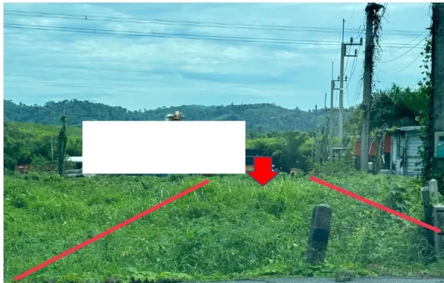 ขายทอดตลาด ที่ดินว่างเปล่า ต.เทพกระษัตรี อ.ถลาง จ.ภูเก็ต