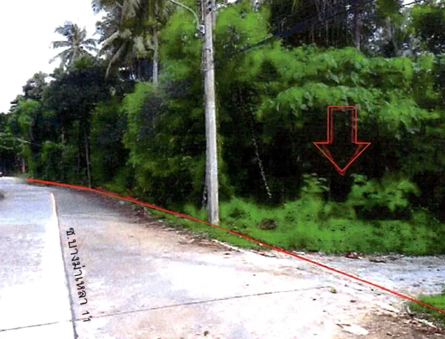 ขายทอดตลาด ที่ดินว่างเปล่า ต.สาคู อ.ถลาง จ.ภูเก็ต