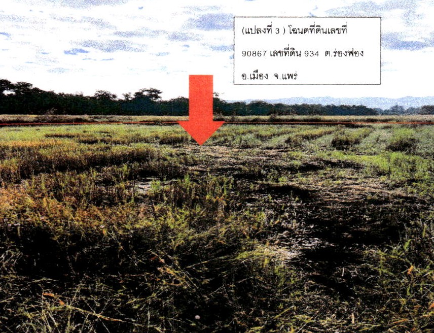 ขายทอดตลาด ที่ดินว่างเปล่า ต.ร่องฟอง อ.เมืองแพร่ จ.แพร่
