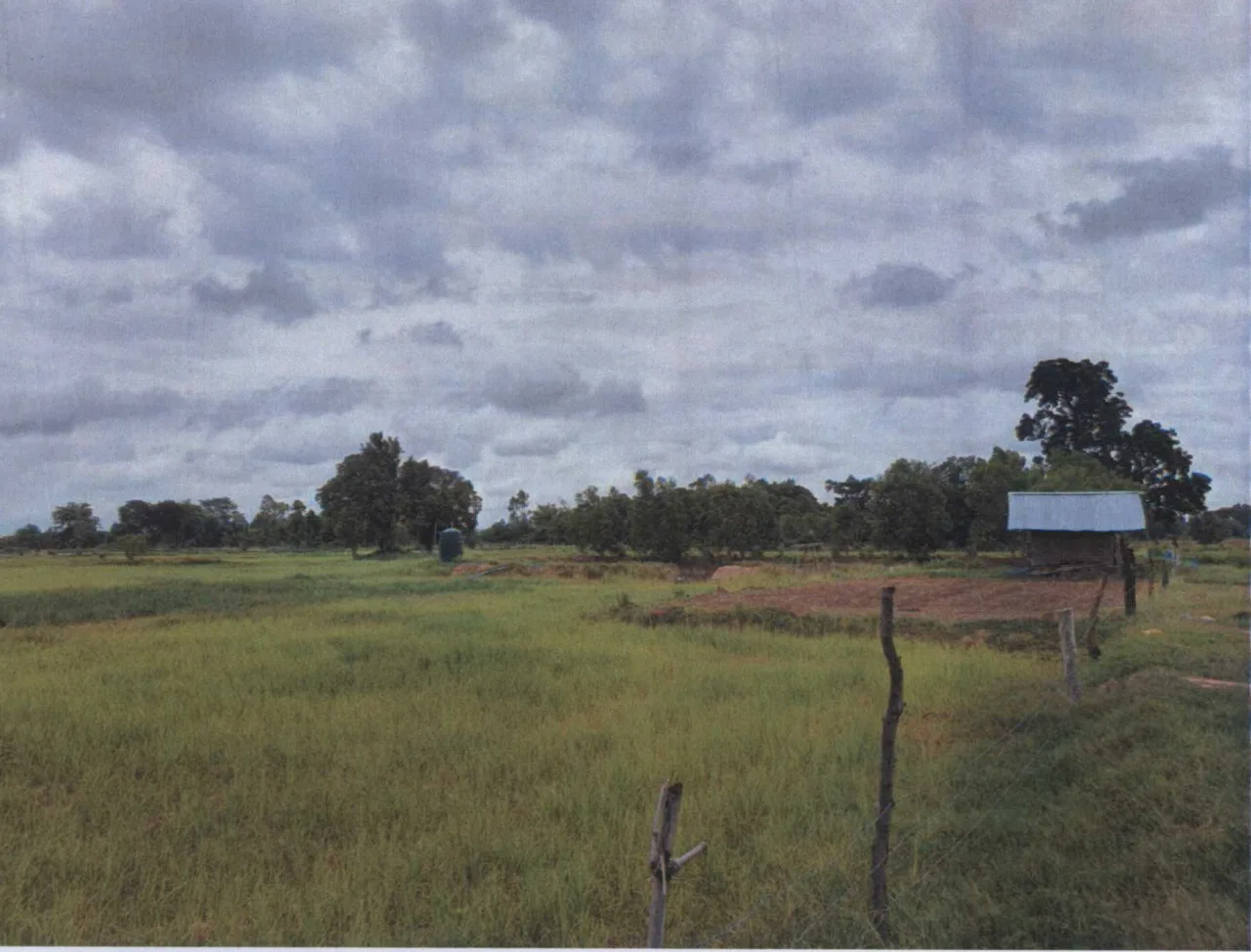 ขายทอดตลาด ที่ดินว่างเปล่า ต.สระบัว อ.ปทุมรัตต์ จ.ร้อยเอ็ด