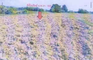 รูปทรัพย์ 1