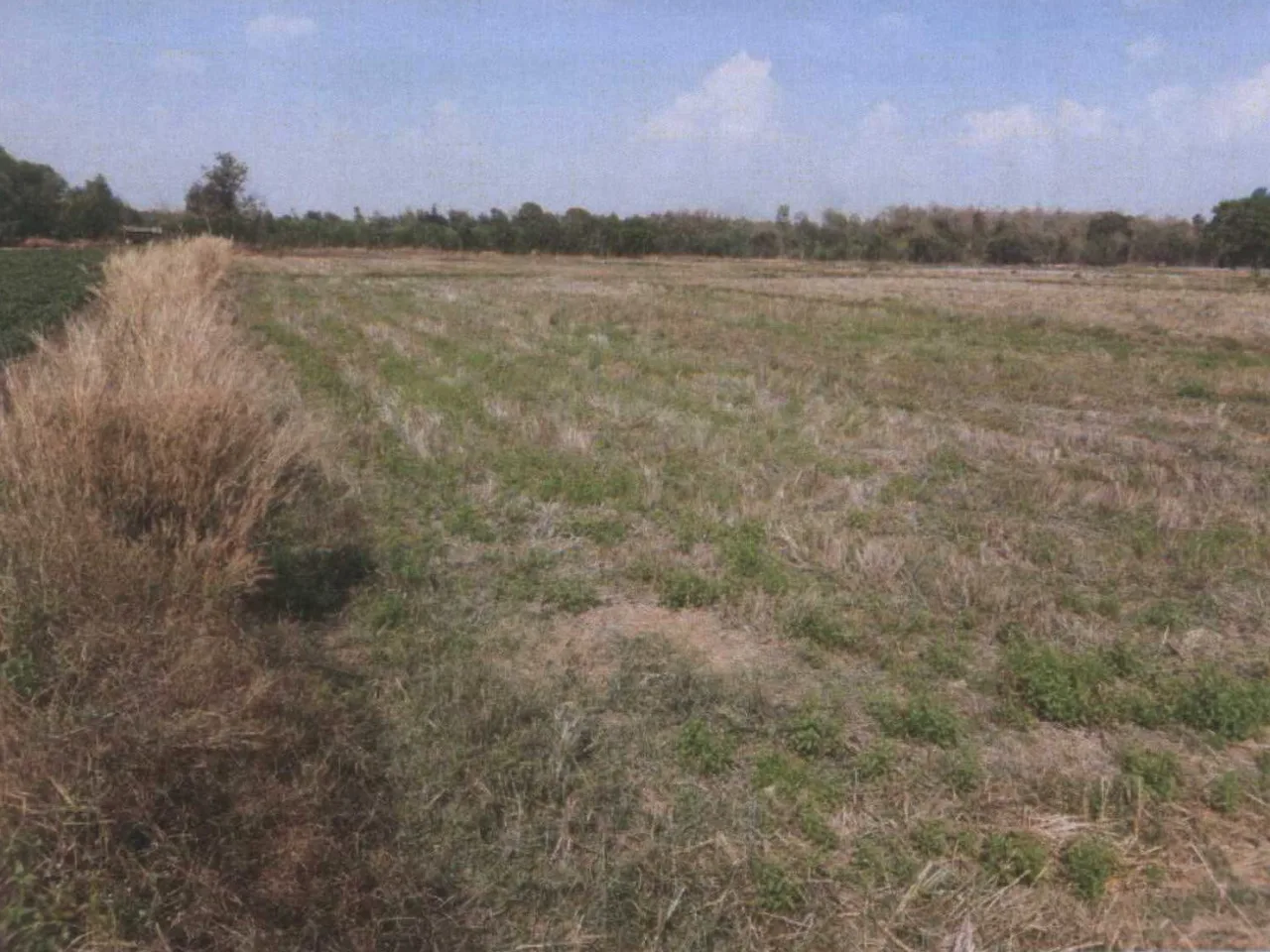 ขายทอดตลาด ที่ดินว่างเปล่า ต.ภูเงิน อ.เสลภูมิ จ.ร้อยเอ็ด