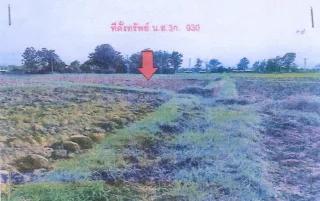 รูปทรัพย์ 3