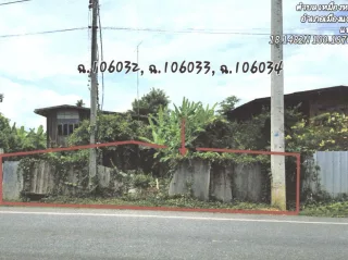 รูปทรัพย์ 1