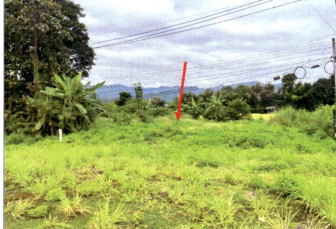 ขายทอดตลาด ที่ดินว่างเปล่า จ.แพร่