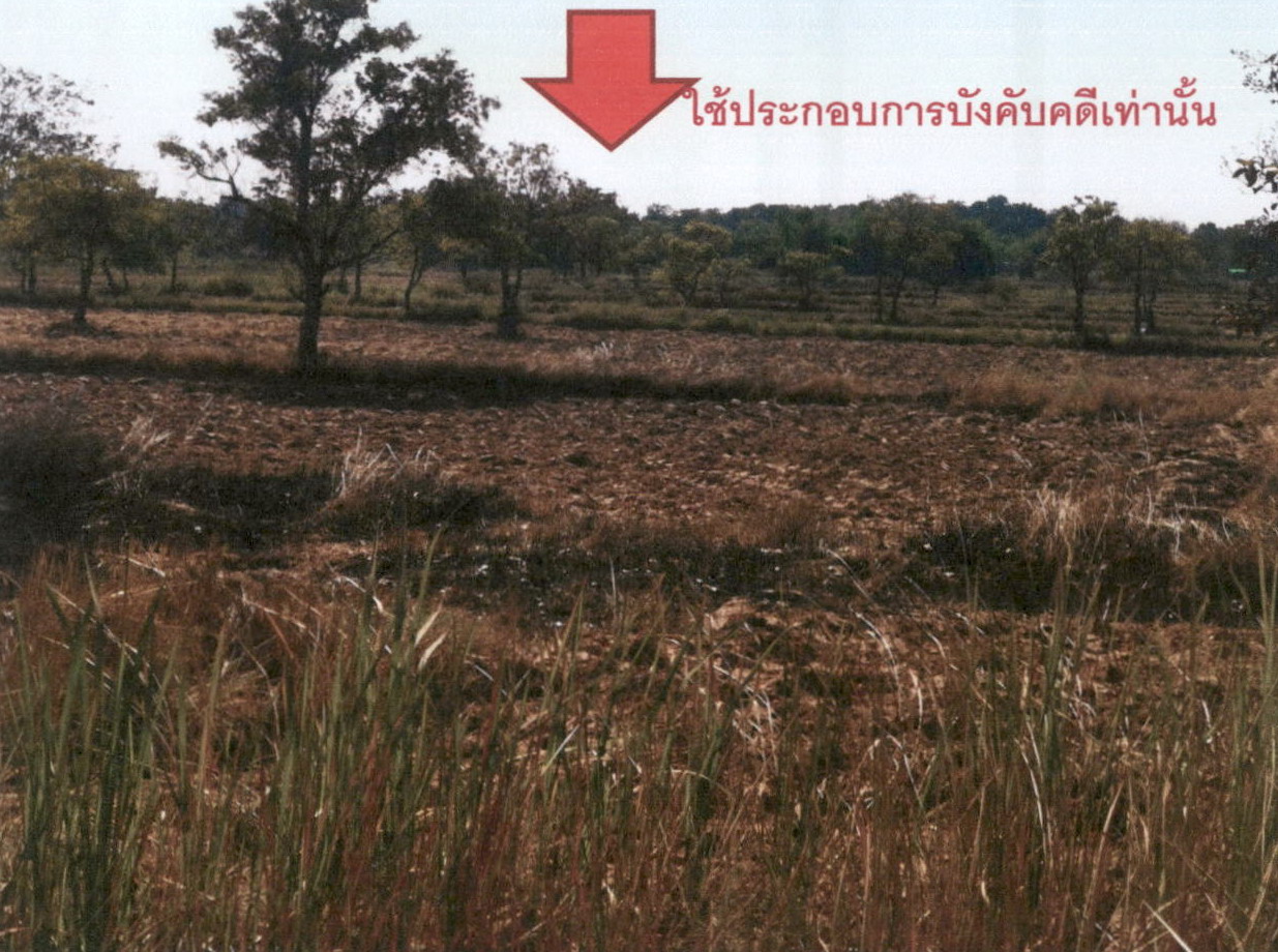 ขายทอดตลาด ที่ดินว่างเปล่า จ.กาฬสินธุ์