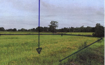 ขายทอดตลาด ที่ดินว่างเปล่า จ.กาฬสินธุ์